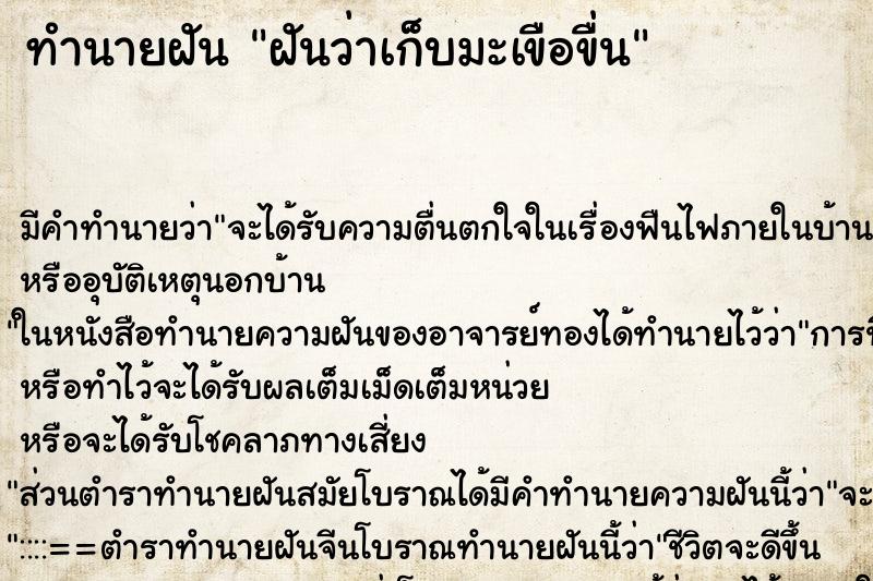 ทำนายฝัน ฝันว่าเก็บมะเขือขื่น ตำราโบราณ แม่นที่สุดในโลก