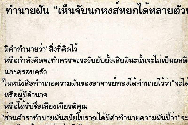 ทำนายฝันทำนายฝันเห็นจับนกหงส์หยกได้หลายตัวหลายสีแล้วใส่กรง