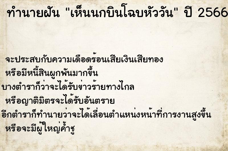 ทำนายฝัน เห็นนกบินโฉบหัววัน ทำนายฝัน เห็นนกบินโฉบหัววัน
