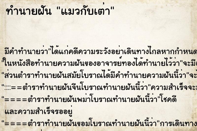 ทำนายฝัน แมวกับเต่า ทำนายฝัน แมวกับเต่า