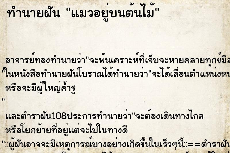 ทำนายฝัน แมวอยู่บนต้นไม้ ทำนายฝัน แมวอยู่บนต้นไม้