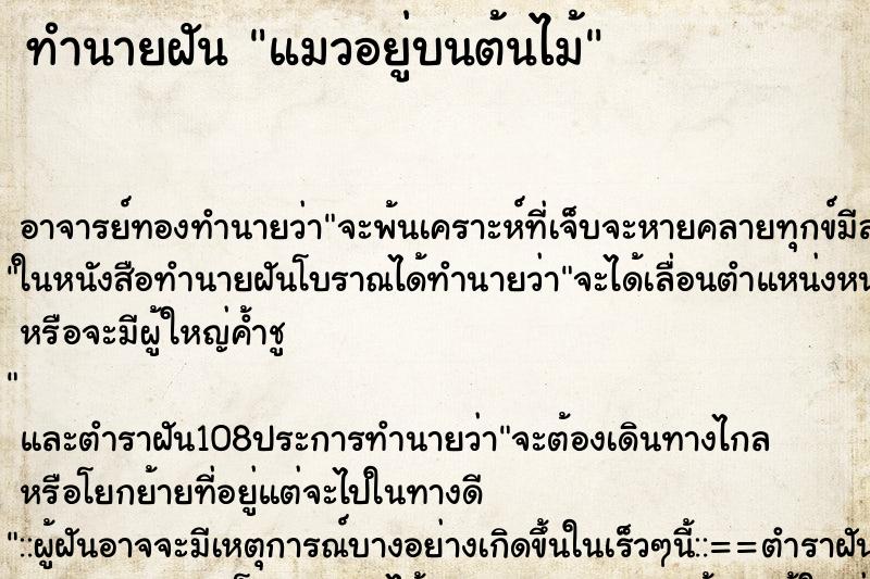 ทำนายฝัน แมวอยู่บนต้นไม้ ตำราโบราณ แม่นที่สุดในโลก