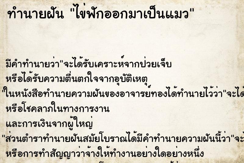 ทำนายฝัน ไข่ฟักออกมาเป็นแมว ทำนายฝัน ไข่ฟักออกมาเป็นแมว
