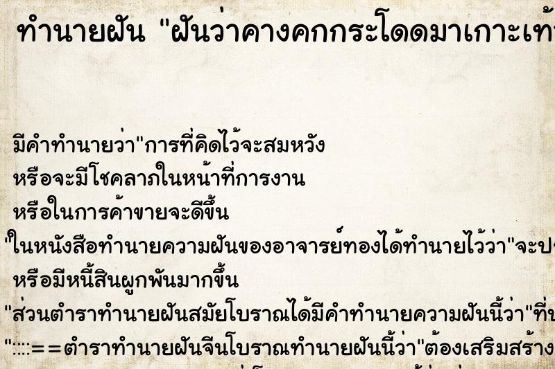 ทำนายฝันฝันว่าคางคกกระโดดมาเกาะเท้า ทำนายฝันทำนายฝันฝันว่าคางคกกระโดดมาเกาะเท้า