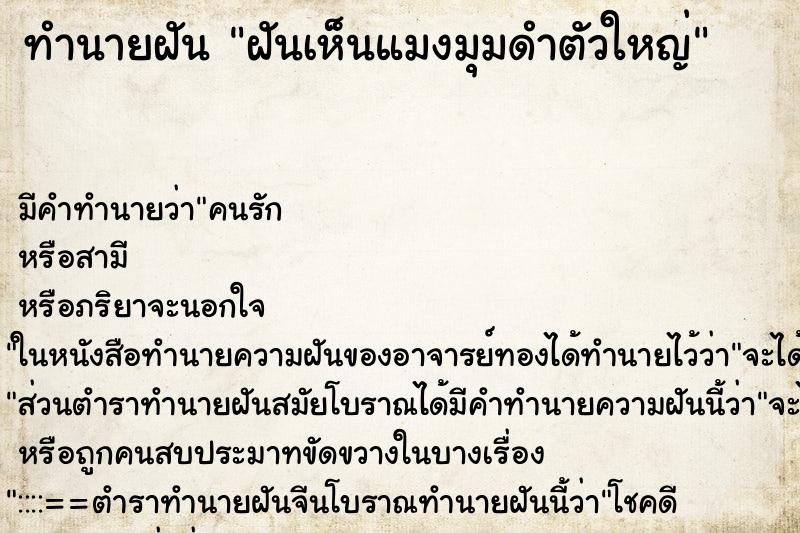 ทำนายฝันฝันเห็นแมงมุมดำตัวใหญ่ ทำนายฝันทำนายฝันฝันเห็นแมงมุมดำตัวใหญ่