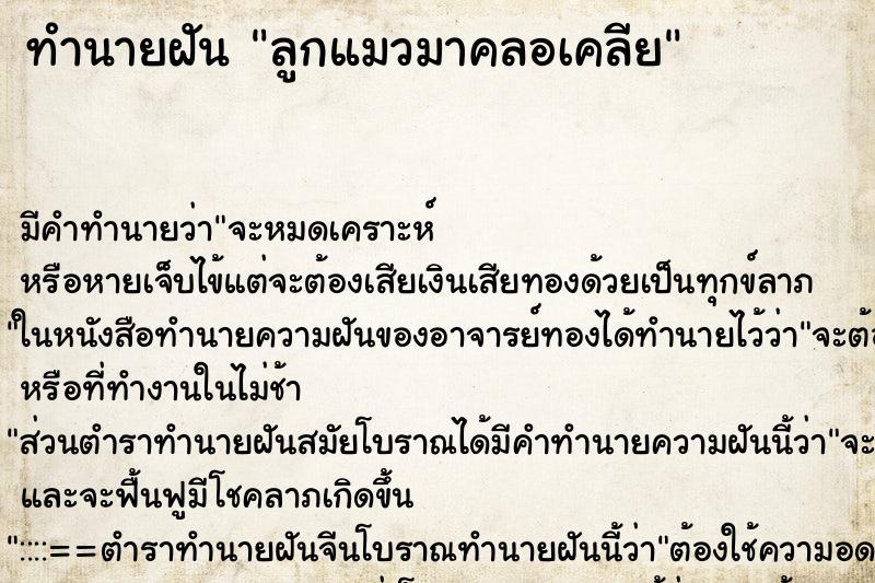 ทำนายฝัน ลูกแมวมาคลอเคลีย ทำนายฝัน ลูกแมวมาคลอเคลีย