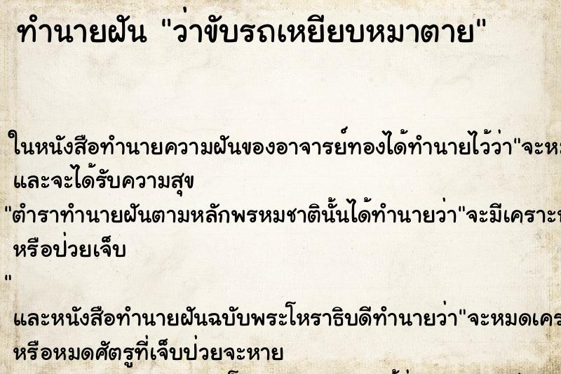 ทำนายฝัน ว่าขับรถเหยียบหมาตาย ทำนายฝัน ว่าขับรถเหยียบหมาตาย