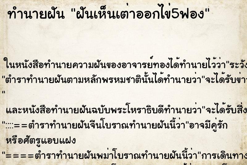 ทำนายฝันฝันเห็นเต่าออกไข่5ฟอง ทำนายฝันทำนายฝันฝันเห็นเต่าออกไข่5ฟอง
