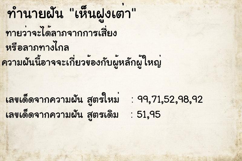 ทำนายฝัน เห็นฝูงเต่า ทำนายฝัน เห็นฝูงเต่า
