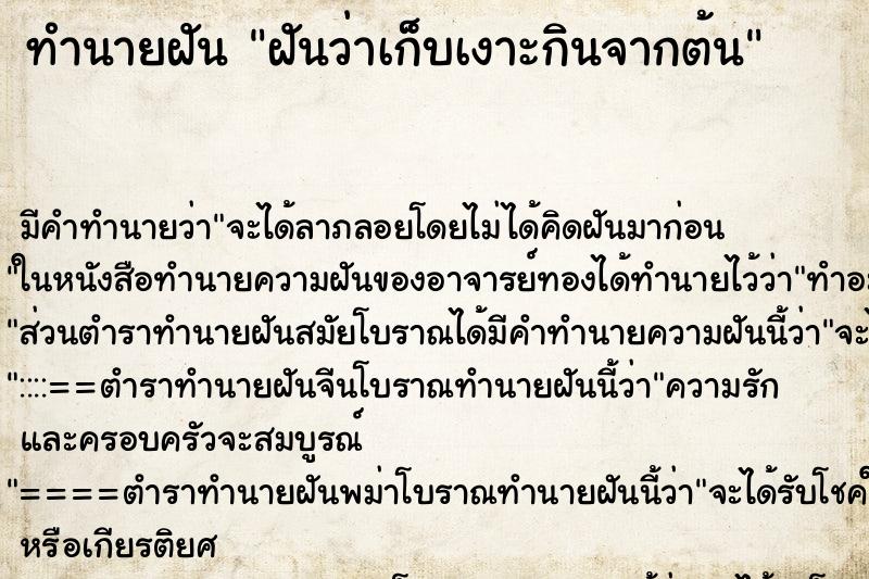 ทำนายฝัน ฝันว่าเก็บเงาะกินจากต้น ทำนายฝัน ฝันว่าเก็บเงาะกินจากต้น
