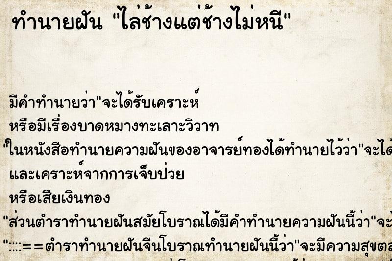 ทำนายฝันไล่ช้างแต่ช้างไม่หนี ทำนายฝันทำนายฝันไล่ช้างแต่ช้างไม่หนี