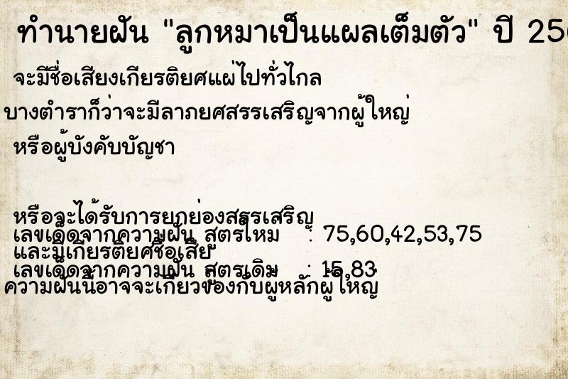 ทำนายฝันลูกหมาเป็นแผลเต็มตัว ทำนายฝันทำนายฝันลูกหมาเป็นแผลเต็มตัว