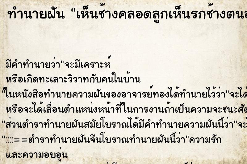 ทำนายฝัน เห็นช้างคลอดลูกเห็นรกช้างตนออกจากตัว ตำราโบราณ แม่นที่สุดในโลก