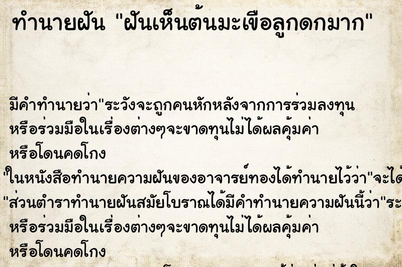 ทำนายฝัน ฝันเห็นต้นมะเขือลูกดกมาก ทำนายฝัน ฝันเห็นต้นมะเขือลูกดกมาก