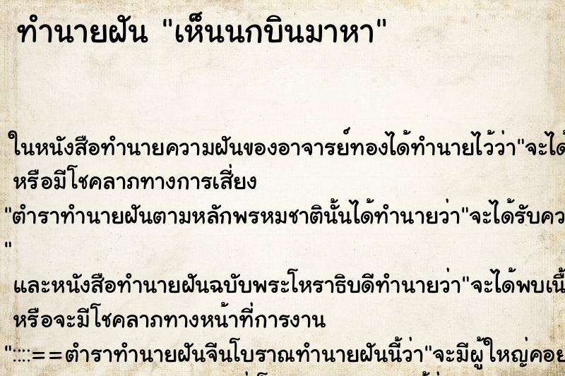 ทำนายฝัน เห็นนกบินมาหา ทำนายฝัน เห็นนกบินมาหา