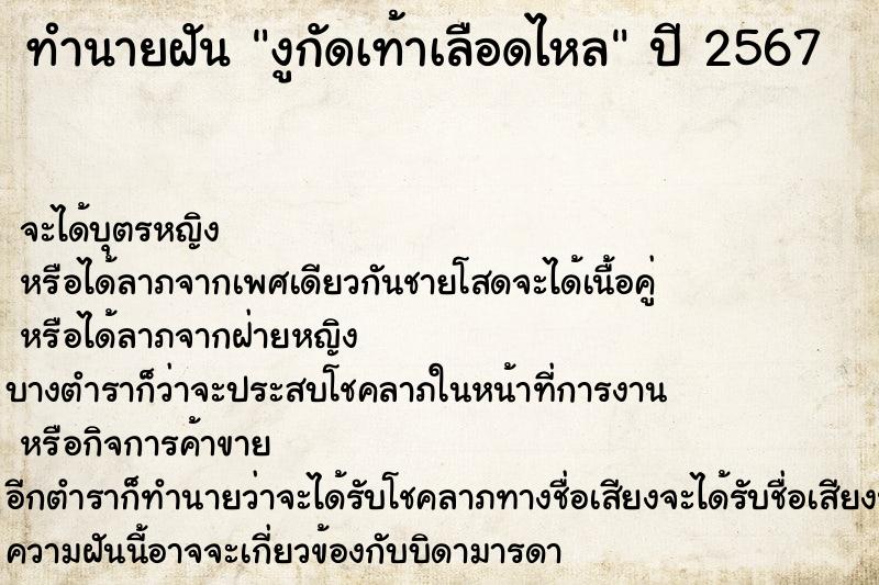 ทำนายฝันงูกัดเท้าเลือดไหล ทำนายฝันทำนายฝันงูกัดเท้าเลือดไหล