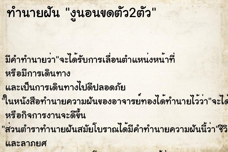 ทำนายฝัน งูนอนขดตัว2ตัว ทำนายฝัน งูนอนขดตัว2ตัว