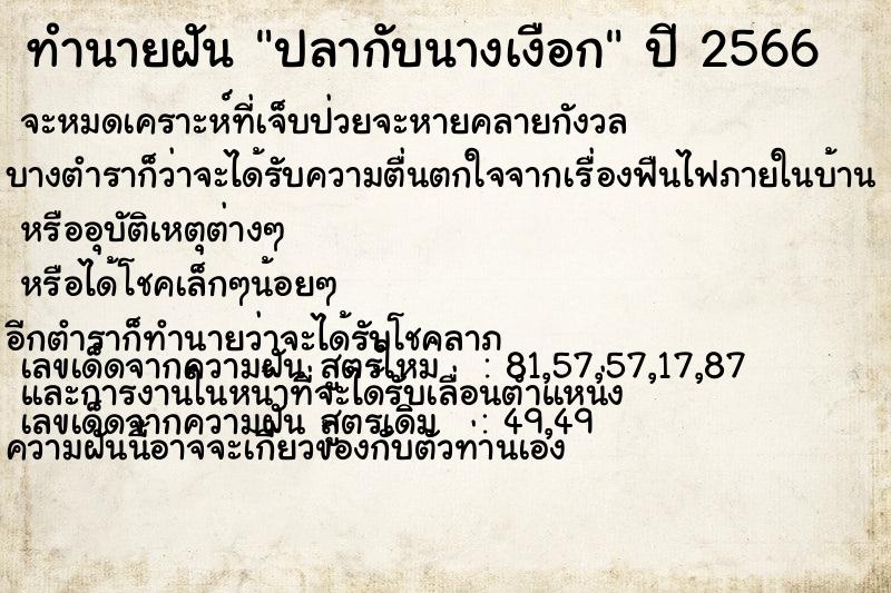 ทำนายฝัน ปลากับนางเงือก ทำนายฝัน ปลากับนางเงือก