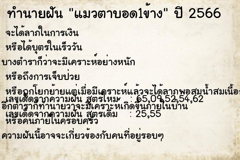 ทำนายฝันทำนายฝันแมวตาบอด1ข้าง