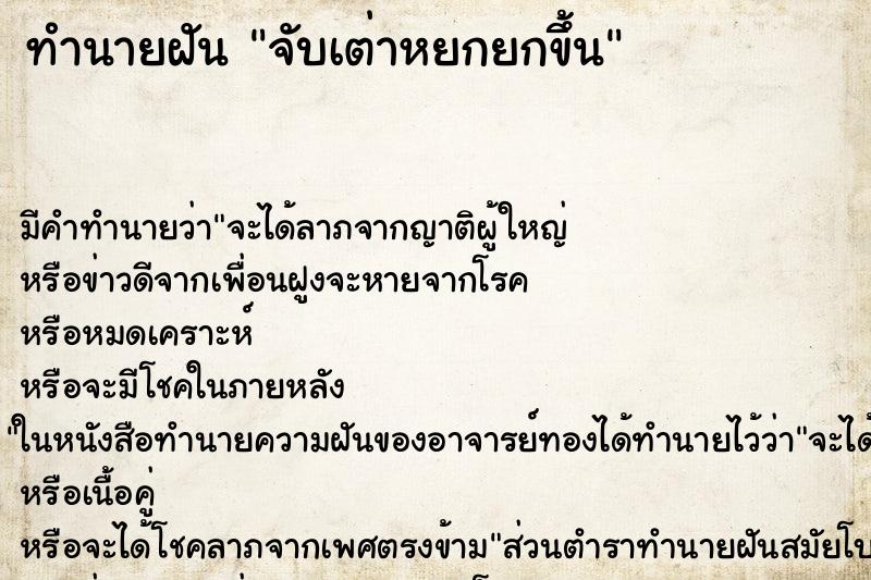 ทำนายฝันจับเต่าหยกยกขึ้น ทำนายฝันทำนายฝันจับเต่าหยกยกขึ้น