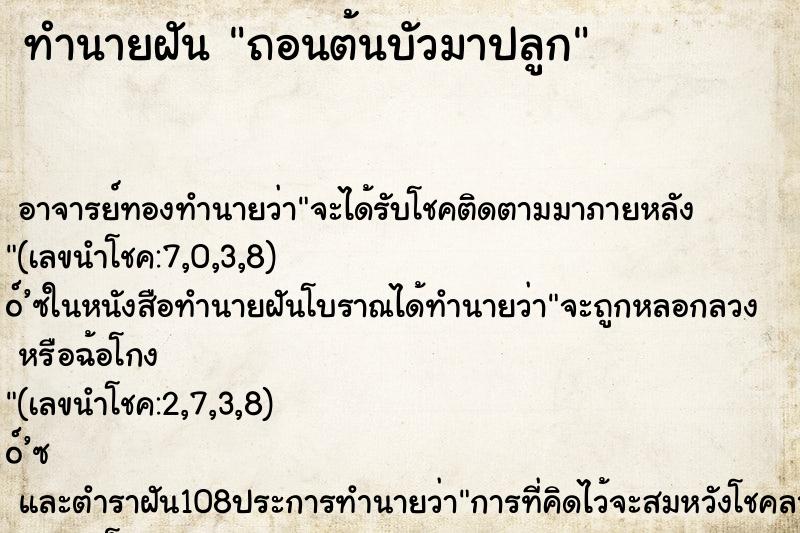ทำนายฝัน ถอนต้นบัวมาปลูก ทำนายฝัน ถอนต้นบัวมาปลูก