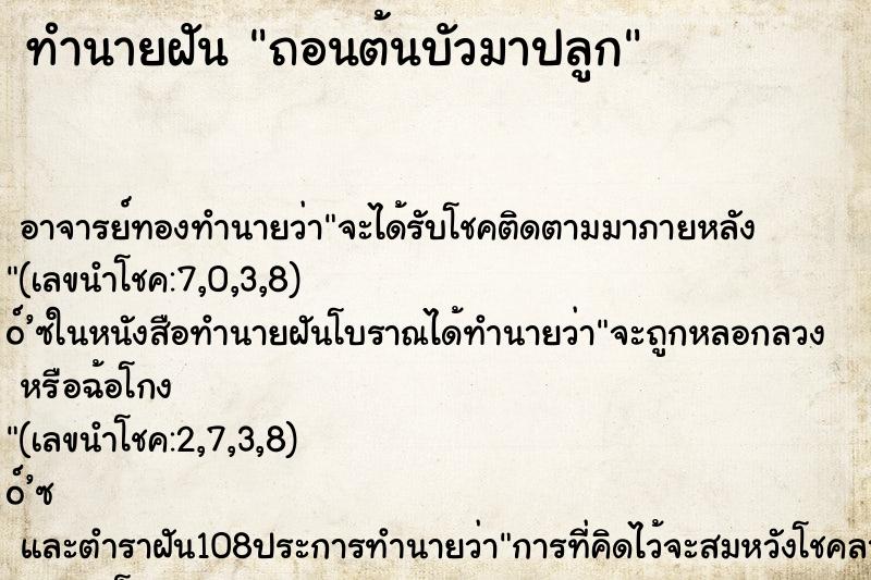 ทำนายฝัน ถอนต้นบัวมาปลูก ตำราโบราณ แม่นที่สุดในโลก