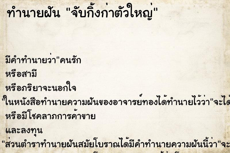 ทำนายฝัน จับกิ้งก่าตัวใหญ่ ทำนายฝัน จับกิ้งก่าตัวใหญ่