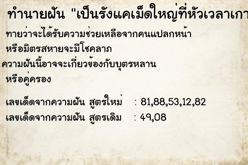 ทำนายฝันทำนายฝันเป็นรังแคเม็ดใหญ่ที่หัวเวลาเกาตกลงมาเต็มเลย