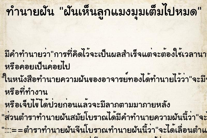 ทำนายฝันฝันเห็นลูกแมงมุมเต็มไปหมด ทำนายฝันทำนายฝันฝันเห็นลูกแมงมุมเต็มไปหมด