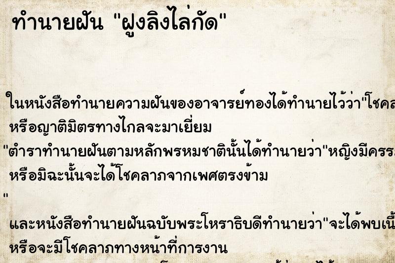 ทำนายฝัน ฝูงลิงไล่กัด ทำนายฝัน ฝูงลิงไล่กัด