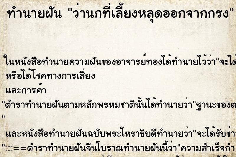 ทำนายฝัน ว่านกที่เลี้ยงหลุดออกจากกรง ทำนายฝัน ว่านกที่เลี้ยงหลุดออกจากกรง