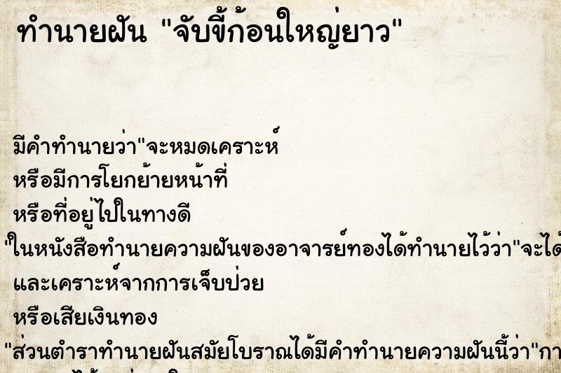 ทำนายฝัน จับขี้ก้อนใหญ่ยาว ตำราโบราณ แม่นที่สุดในโลก