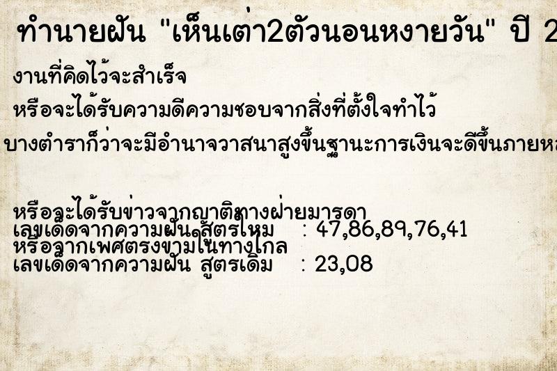 ทำนายฝันทำนายฝันเห็นเต่า2ตัวนอนหงายวัน