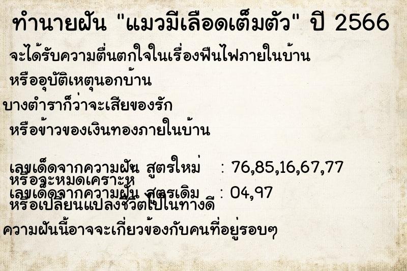 ทำนายฝัน แมวมีเลือดเต็มตัว ทำนายฝัน แมวมีเลือดเต็มตัว