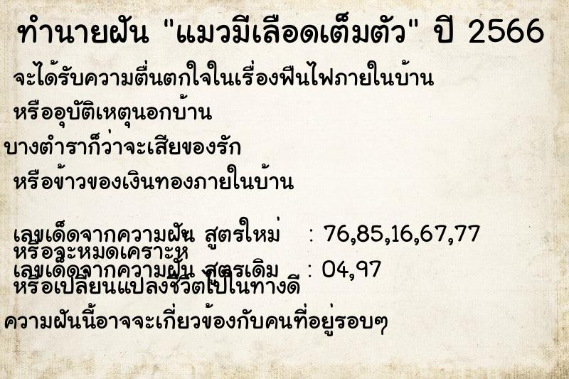 ทำนายฝัน แมวมีเลือดเต็มตัว ตำราโบราณ แม่นที่สุดในโลก