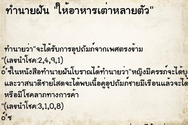 ทำนายฝันให้อาหารเต่าหลายตัว ทำนายฝันทำนายฝันให้อาหารเต่าหลายตัว