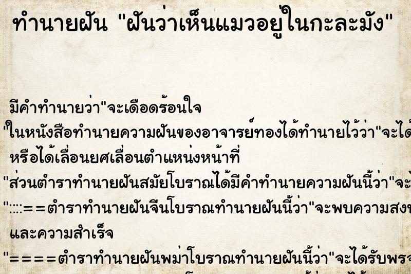 ทำนายฝันฝันว่าเห็นแมวอยู่ในกะละมัง ทำนายฝันทำนายฝันฝันว่าเห็นแมวอยู่ในกะละมัง