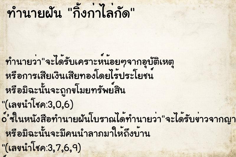 ทำนายฝัน กิ้งก่าไล่กัด ทำนายฝัน กิ้งก่าไล่กัด