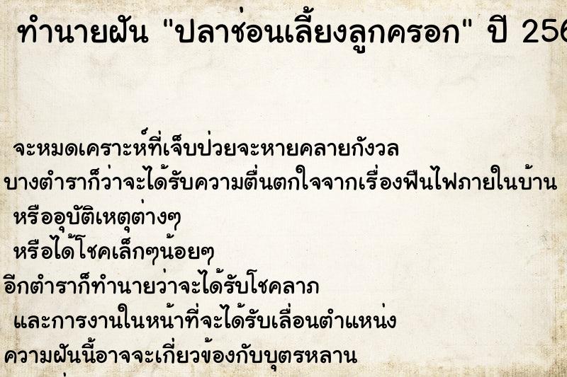 ทำนายฝันปลาช่อนเลี้ยงลูกครอก ทำนายฝันทำนายฝันปลาช่อนเลี้ยงลูกครอก