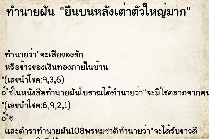 ทำนายฝัน ยืนบนหลังเต่าตัวใหญ่มาก