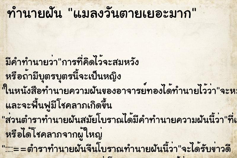 ทำนายฝัน แมลงวันตายเยอะมาก ทำนายฝัน แมลงวันตายเยอะมาก