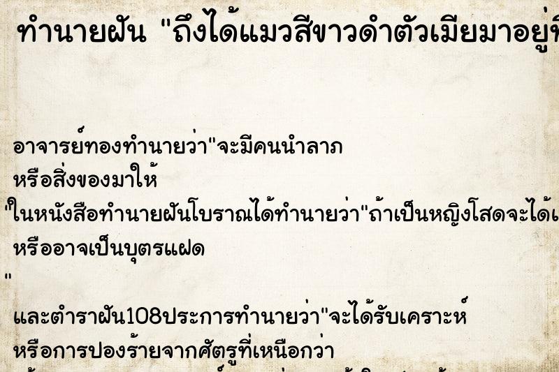 ทำนายฝันทำนายฝันถึงได้แมวสีขาวดำตัวเมียมาอยู่ที่บ้าน