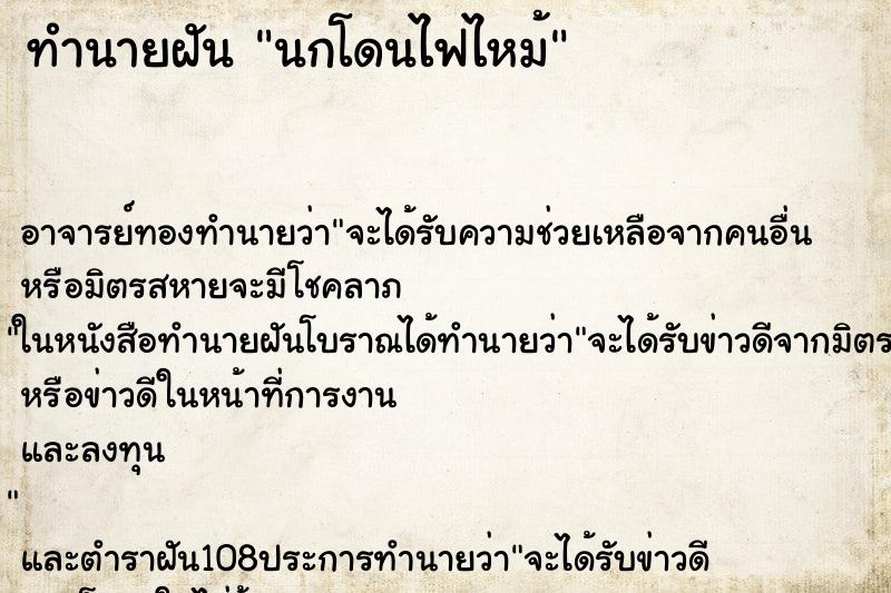 ทำนายฝัน นกโดนไฟไหม้ ทำนายฝัน นกโดนไฟไหม้