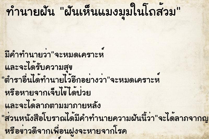 ทำนายฝัน ฝันเห็นแมงมุมในโถส้วม ทำนายฝัน ฝันเห็นแมงมุมในโถส้วม