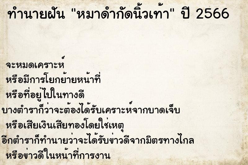 ทำนายฝันหมาดำกัดนิ้วเท้า ทำนายฝันทำนายฝันหมาดำกัดนิ้วเท้า