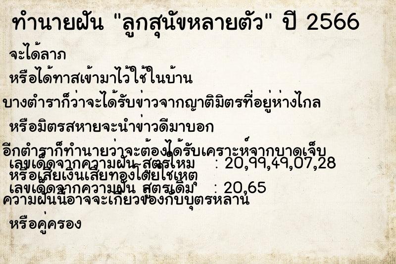 ทำนายฝัน ลูกสุนัขหลายตัว ทำนายฝัน ลูกสุนัขหลายตัว