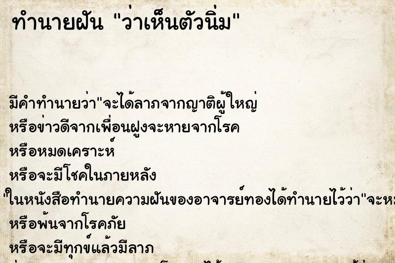 ทำนายฝัน ว่าเห็นตัวนิ่ม ทำนายฝัน ว่าเห็นตัวนิ่ม