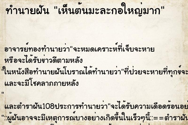ทำนายฝันเห็นต้นมะละกอใหญ่มาก ทำนายฝันทำนายฝันเห็นต้นมะละกอใหญ่มาก