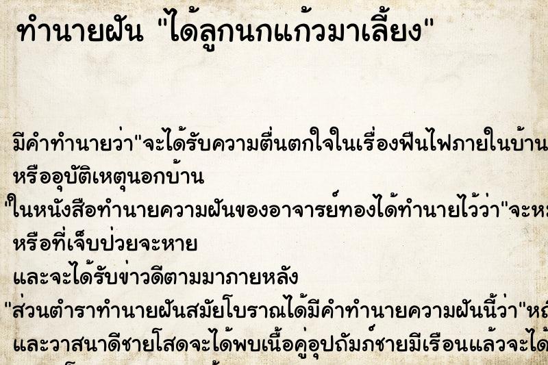 ทำนายฝัน ได้ลูกนกแก้วมาเลี้ยง ทำนายฝัน ได้ลูกนกแก้วมาเลี้ยง