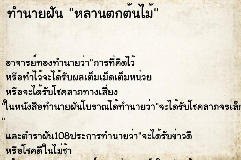 ทำนายฝันทำนายฝันหลานตกต้นไม้